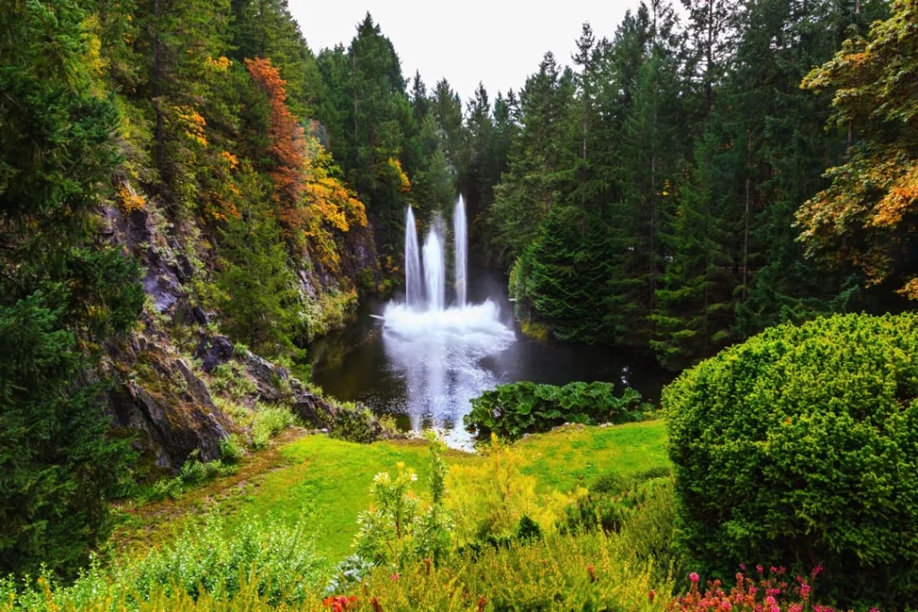 Een hoge waterfontein spuit omhoog in een vijver omringd door naaldbomen en herfstkleuren in Butchart Gardens