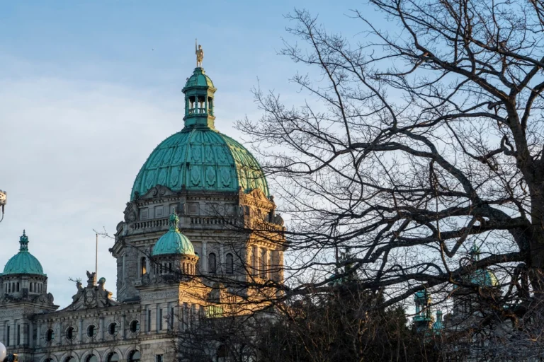 De koperen koepel van het parlementsgebouw in Victoria steekt uit boven kale boomtakken bij zonsondergang