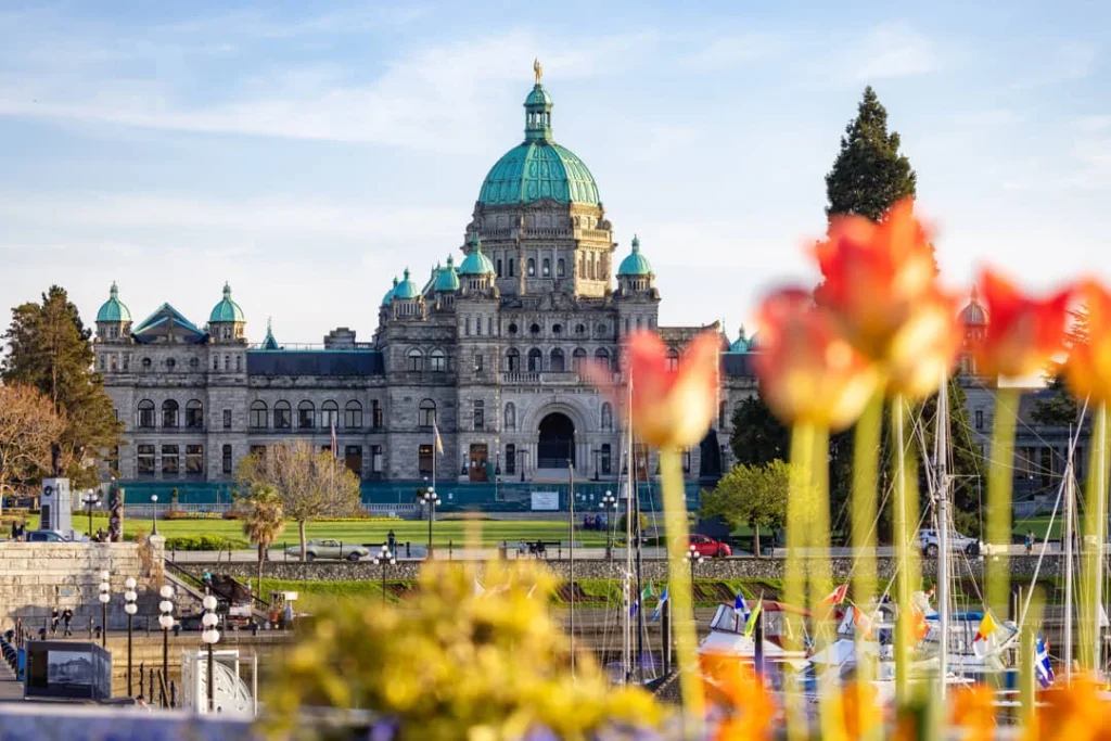 Uitzicht op het koepelvormige parlementsgebouw van Victoria op Vancouver Island met oranje tulpen en zeilboten op de voorgrond