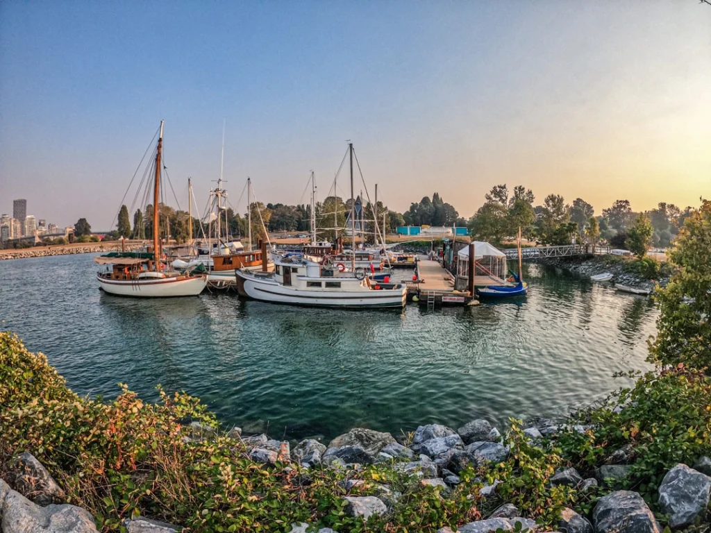 Houten vissersboten liggen afgemeerd in een rustige jachthaven in Victoria, met een gouden zonsondergang op de achtergrond