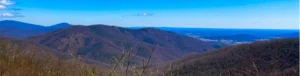 Panoramisch uitzicht over de blauwe, kale bergketens van het Shenandoah-gebied in Virginia onder een heldere blauwe lucht