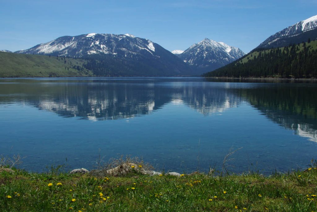 Besneeuwde bergtoppen rond Wallowa Lake weerspiegelen in het spiegelgladde water met een grasveld met bloemen op de voorgrond