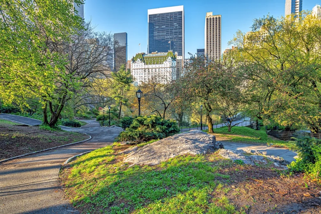 Een wandelpad tussen rotsen en groen in Central Park, met de Plaza Hotel en wolkenkrabbers op de achtergrond