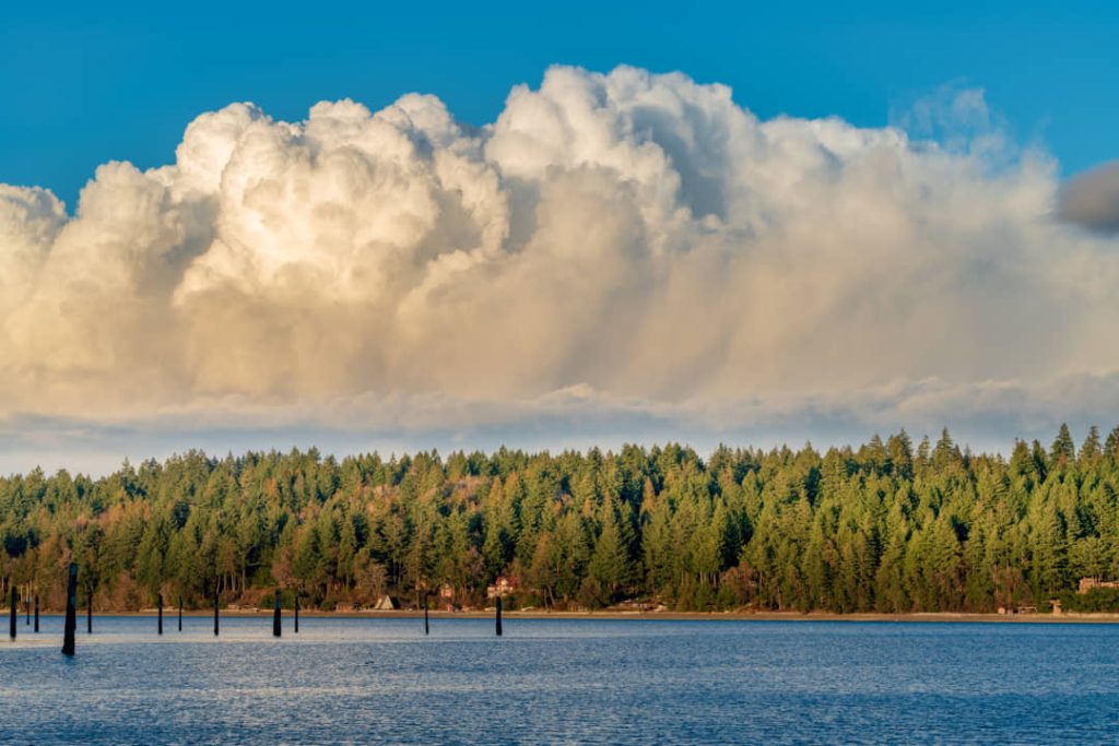 Enorme, gestapelde stapelwolk boven een dicht beboste oever aan het water met verspreide oude paalresten in het water in Washington