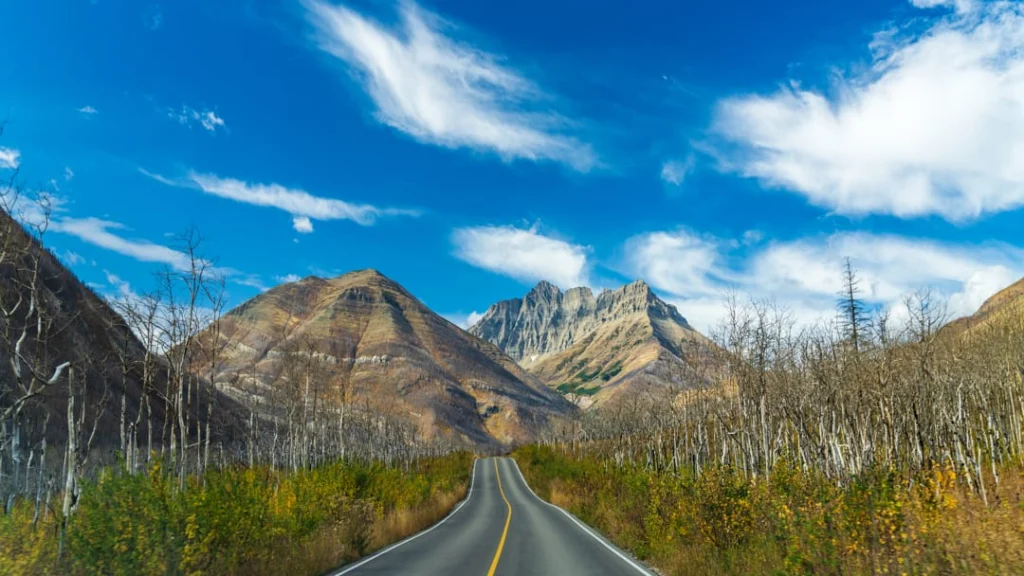 Een lege asfaltweg loopt tussen kale bomen en struiken naar ruige bergtoppen in Waterton Lakes National Park onder een blauwe lucht met wolken