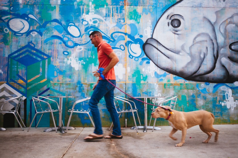 Een man in een oranje shirt loopt met zijn hond aan de lijn langs een blauwgroene muurschildering met een vis in Northwood Village, West Palm Beach