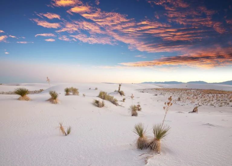 Glooiende witte gipsduinen met yuccaplanten onder een roze en oranje gekleurde avondlucht in White Sands National Park