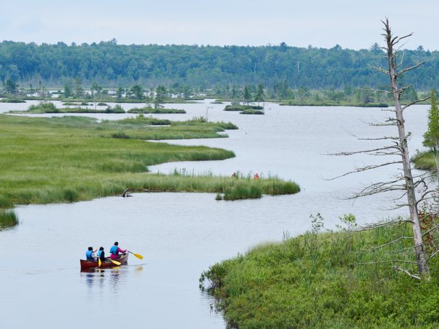 Drie kanovaarders peddelen door een kronkelend moeraskanaal omringd door riet en bos in de Northwoods van Wisconsin