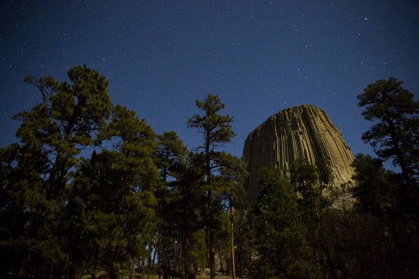 Silhouet van dennenbomen tegen de verticale groeven van Devils Tower onder een donkerblauwe hemel vol sterren