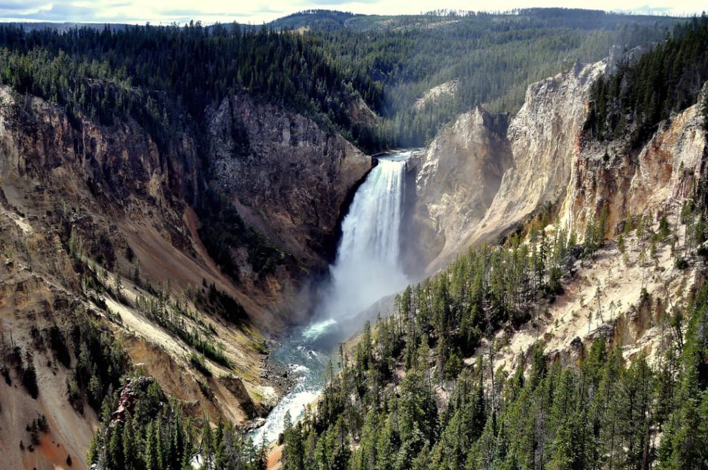Waterval die diep neerstort in de geel en oranje gekleurde Grand Canyon van Yellowstone, omringd door dennenbos