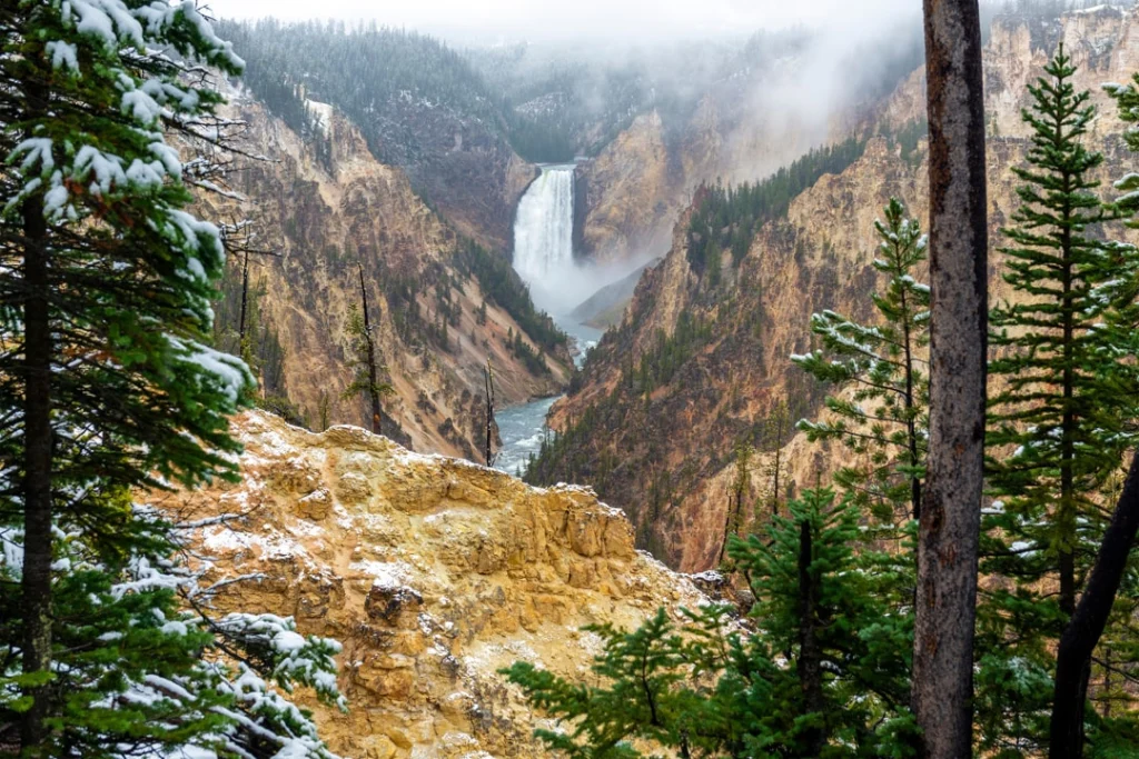 Waterval stort neer in een diepe, geel gekleurde canyon met besneeuwde dennenbomen op de voorgrond in Yellowstone