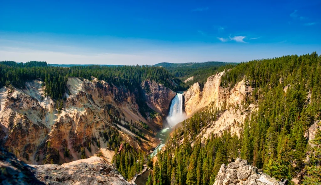 Uitzicht op de Lower Falls die neerstorten in de Grand Canyon van Yellowstone, omringd door dennenbossen onder een blauwe lucht