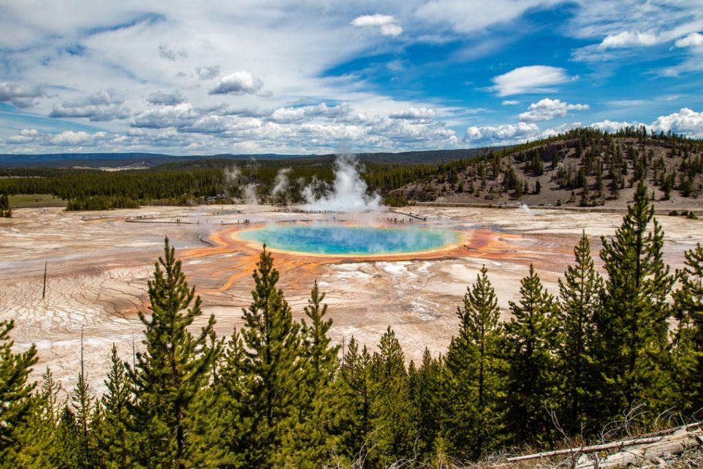 Kleurrijke hete bron met stomende oranje randen gezien vanaf een heuvel met dennenbomen op de voorgrond in Yellowstone