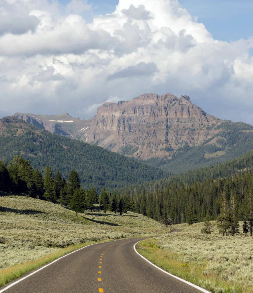 Lege tweebaansweg die door glooiende heuvels slingert met een dennenbos en een steile rotsformatie op de achtergrond in Yellowstone National Park