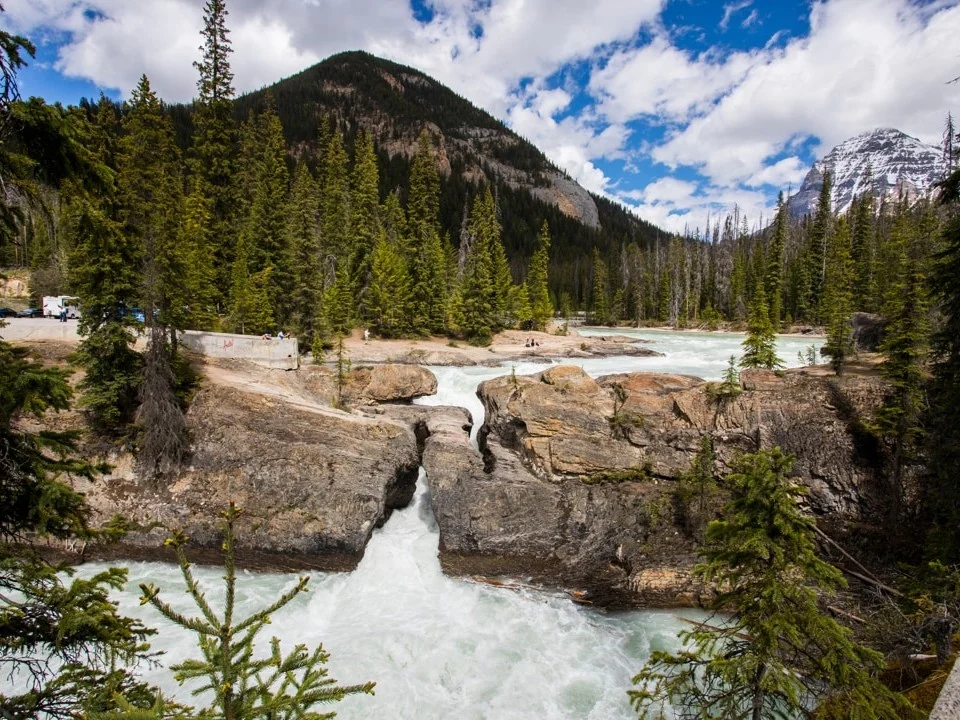 Turkooise rivier stroomt door een rotsspleet bij Natural Bridge in Yoho National Park, omringd door dennenbossen en bergen