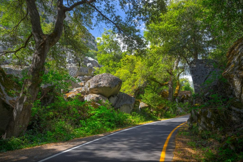 Kronkelende weg door het bos langs grote mosbegroeide rotsblokken bij Yosemite National Park