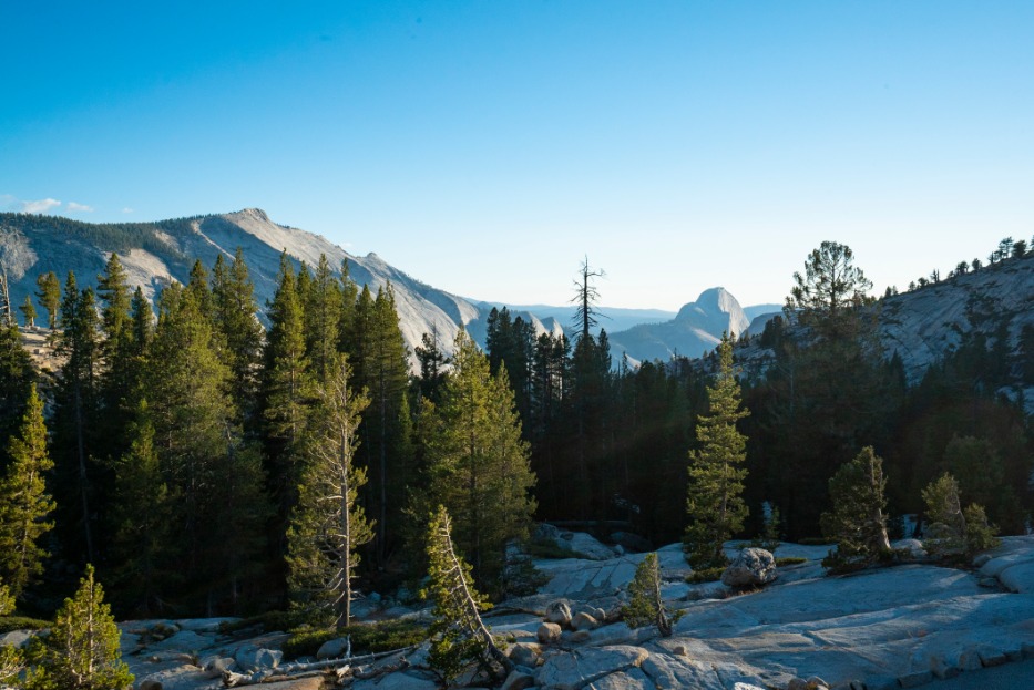 Kaal granietlandschap met verspreide dennen en op de achtergrond de bergtoppen van Yosemite, waaronder Half Dome in de verte