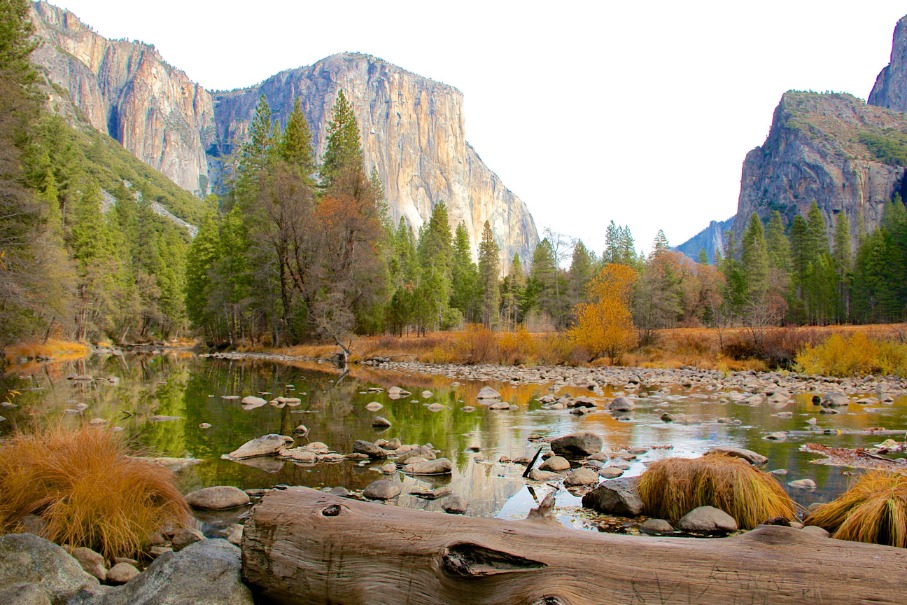 Rustige rivier met een stenen oever en herfstkleurige struiken, met op de achtergrond de kale rotswand van El Capitan in Yosemite Valley