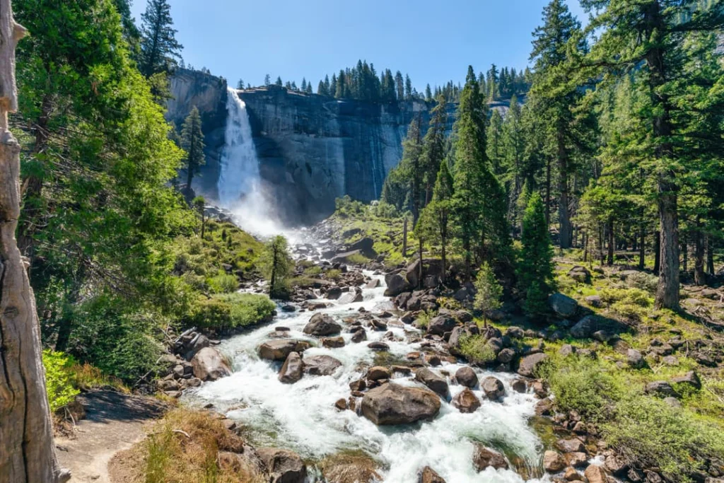 Een krachtige waterval stort van een rotswand omlaag in een rivier vol rotsblokken, omringd door dennenbos in Yosemite National Park