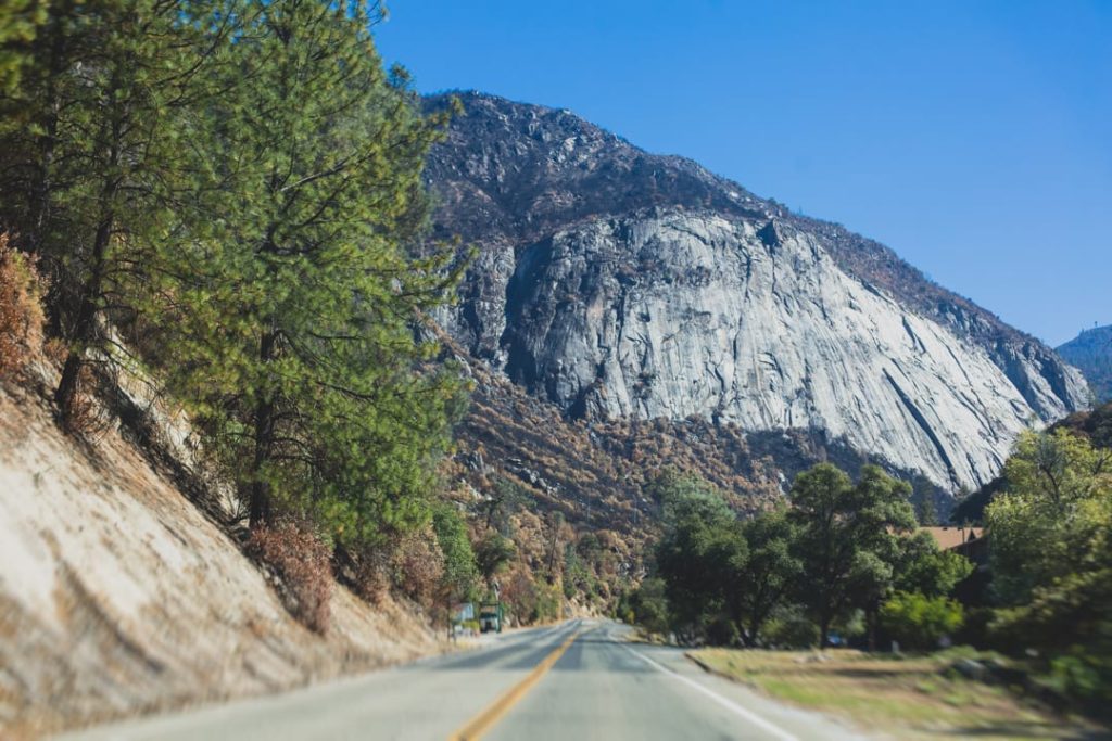 Bergweg tussen dennenbomen met een grote gladde granieten rotswand op de achtergrond bij Yosemite National Park