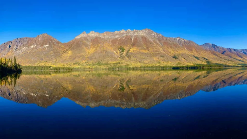 Volledig stil bergmeer dat de omringende bergen met herfstkleuren en dennenbos perfect weerspiegelt in Yukon