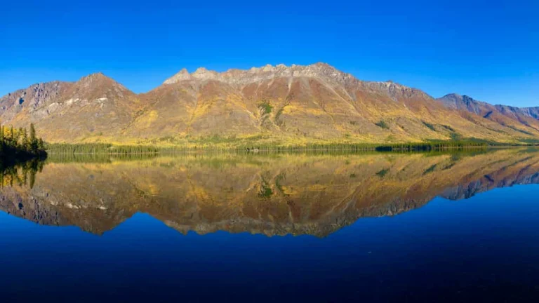 Volledig stil bergmeer dat de omringende bergen met herfstkleuren en dennenbos perfect weerspiegelt in Yukon