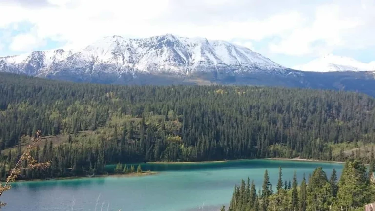 Turquoise water van Emerald Lake omgeven door dennenbos met een besneeuwde bergketen op de achtergrond in Yukon