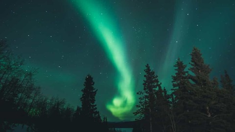 Groen noorderlicht golft over de sterrenhemel boven een besneeuwde berghelling en dennenbomen in Yukon