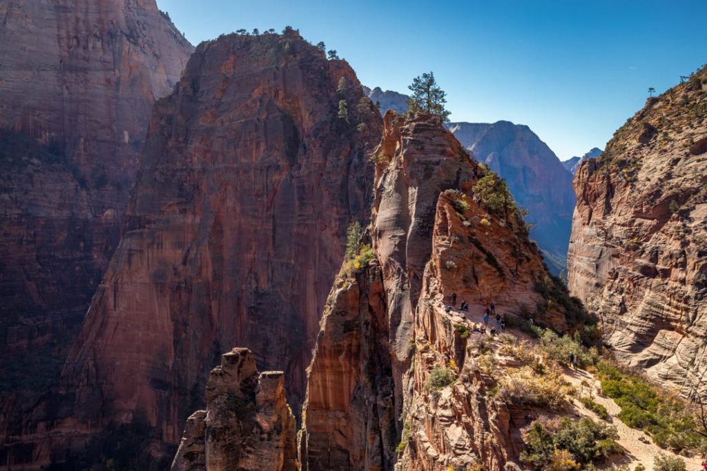 Wandelaars lopen over de smalle rotsrug van Angels Landing met diepe rode rotswanden aan weerszijden in Zion National Park