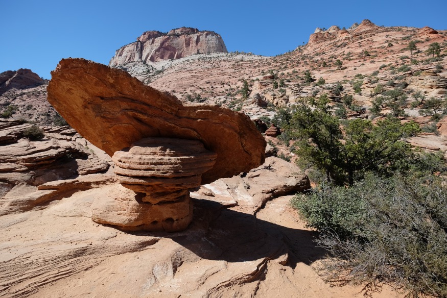 Een uitgesleten paddenstoelvormige rotsformatie op een kale rotsvlakte in Zion National Park, met bergen op de achtergrond