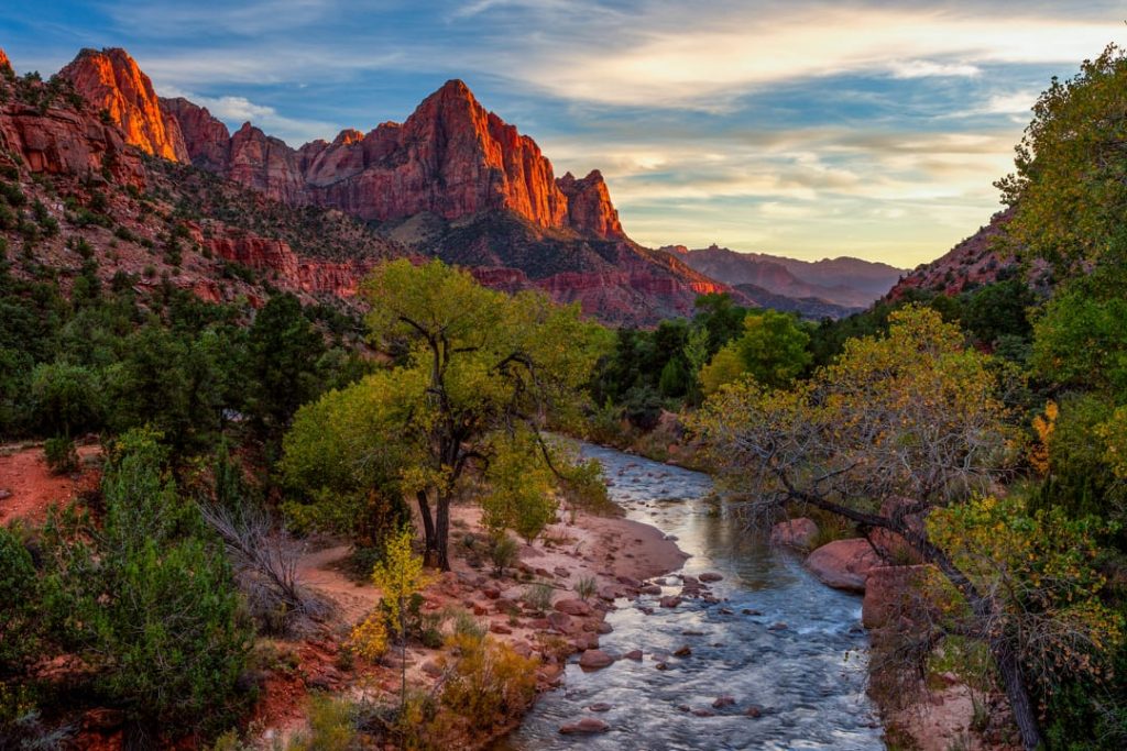 Rode rotsformatie The Watchman kleurt roze in de avondzon boven een rivier omzoomd door herfstbomen in Zion National Park