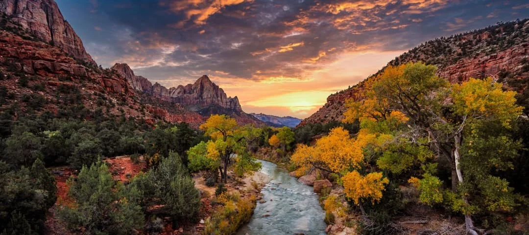 De kartelige rotsformatie The Watchman kleurt oranje bij zonsondergang boven een kronkelende rivier omzoomd door herfstbomen in Zion National Park