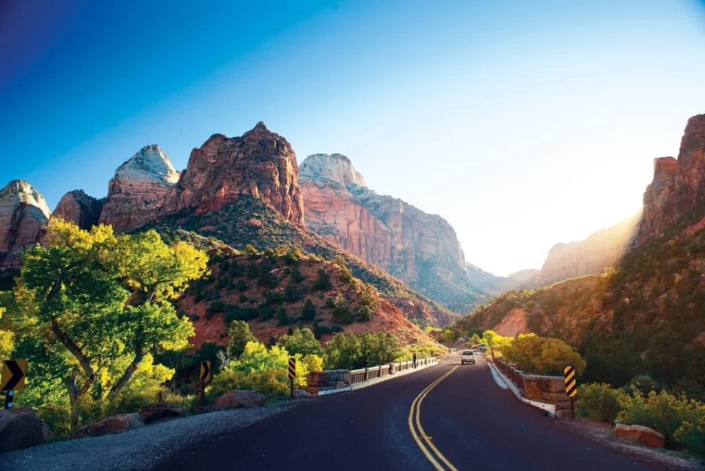 Een asfaltweg slingert door Zion National Park in Utah, omringd door rode rotsformaties en groene begroeiing bij zonsopgang