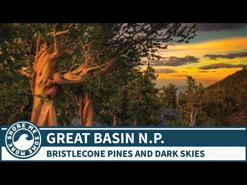 Videothumbnail met een oude bristlecone pine tegen een kleurrijke avondlucht en de tekst Bristlecone Pines and Dark Skies