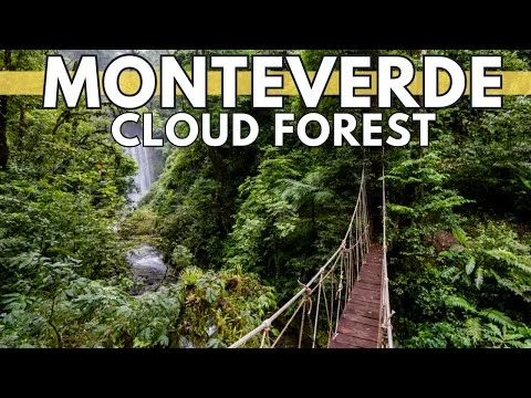 Videothumbnail met een waterval en een houten hangbrug in het wolkenwoud van Monteverde