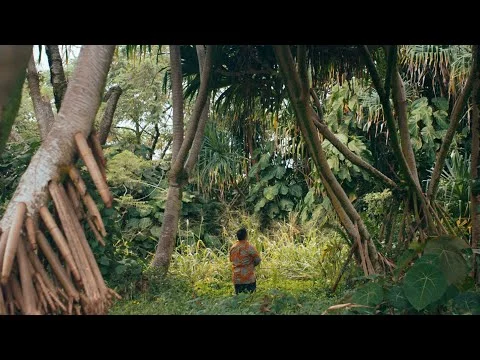 Een persoon loopt tussen dichte tropische begroeiing en hoge bomen in een groen regenwoud op Oahu