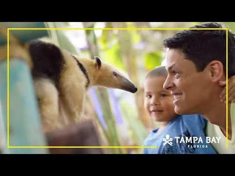 Een vader met zijn kleine zoon kijkt geboeid naar een miereneter in een dierentuin in Tampa Bay