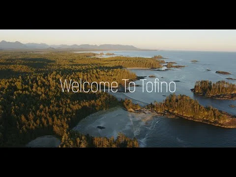 Luchtfoto van Tofino met dichtbegroeide bossen, kleine baaien en een verspreide kustlijn bij zonsondergang