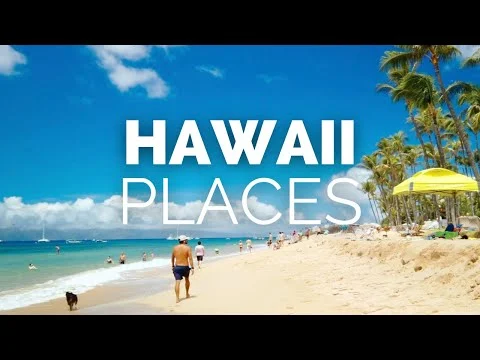 Videothumbnail met de tekst Hawaii Places over een foto van een druk strand met palmbomen, wandelaars en een hond in de branding