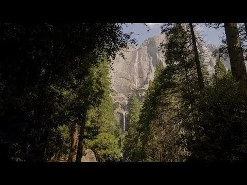 Uitzicht op een waterval die tussen hoge rotswanden naar beneden stroomt, omringd door dennenbomen in Yosemite National Park