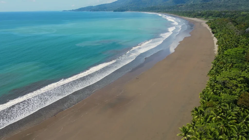 Luchtfoto van golven op een verlaten zandstrand met regenwoud en palmbomen aan de Pacifische kust van Costa Rica
