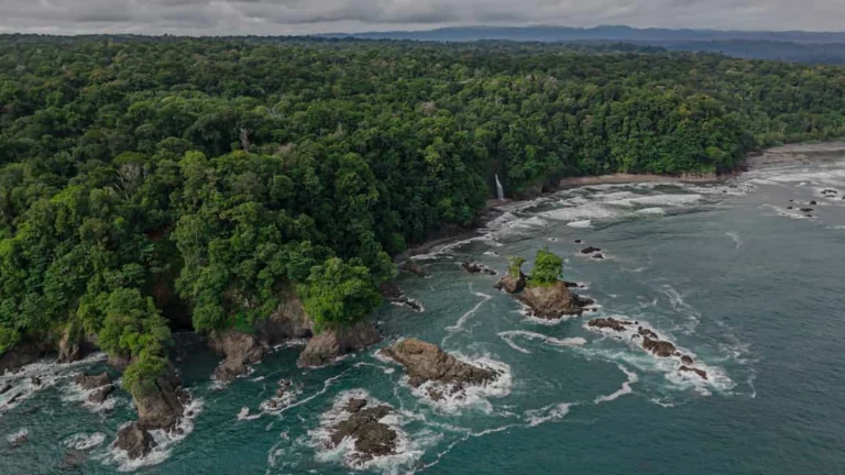 Regenwoud van Corcovado National Park, Puntarenas