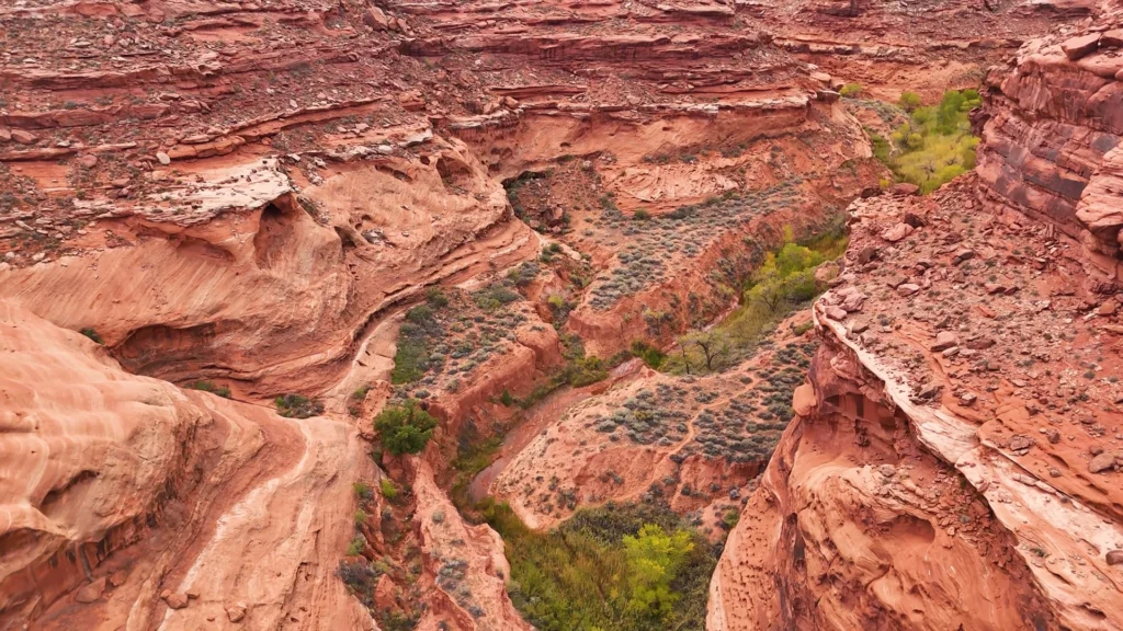 Luchtfoto van roodgekleurde rotswanden van een kloof met groene begroeiing in Canyonlands National Park, Utah