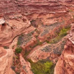 Luchtfoto van roodgekleurde rotswanden van een kloof met groene begroeiing in Canyonlands National Park, Utah