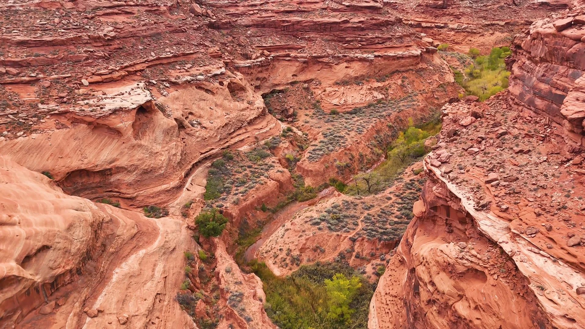 Luchtfoto van roodgekleurde rotswanden van een kloof met groene begroeiing in Canyonlands National Park, Utah