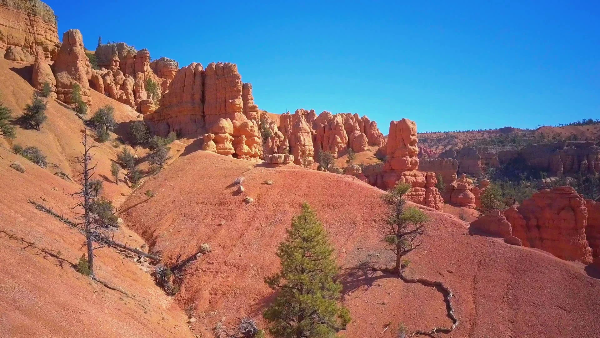 Uitzicht op Bryce Canyon