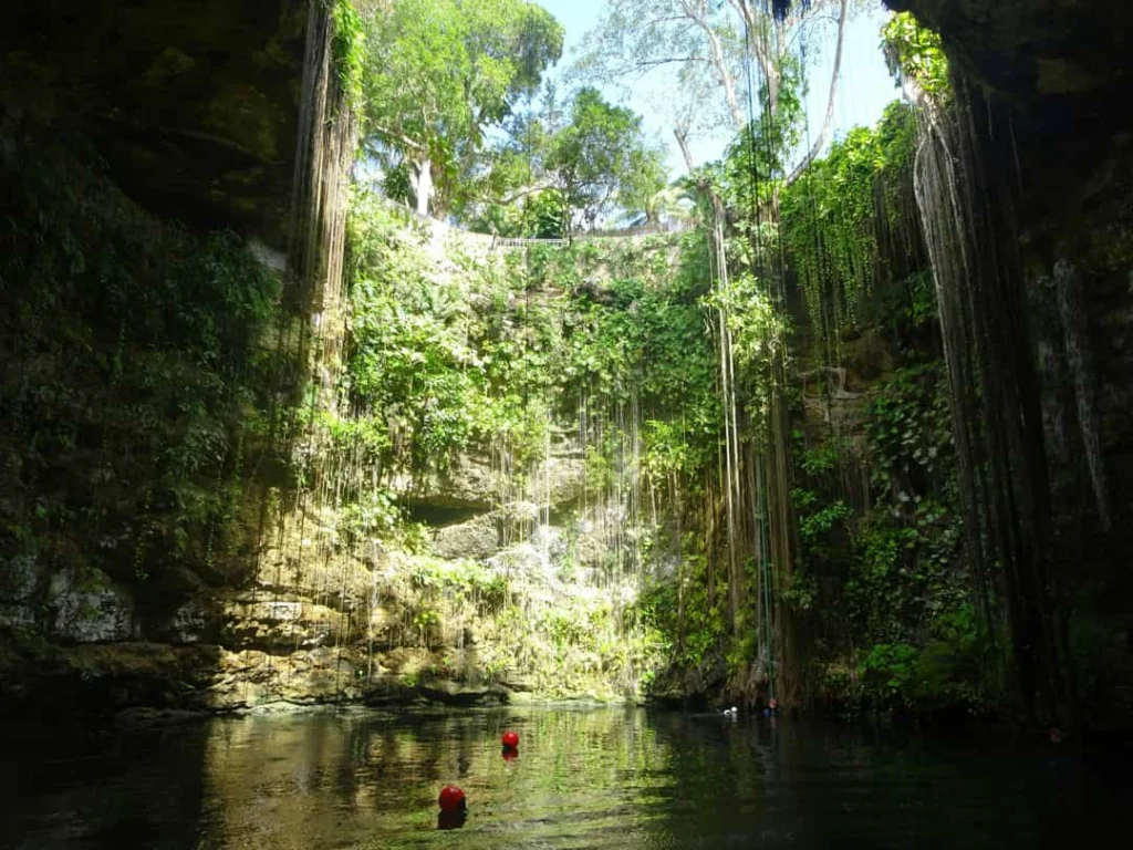Zwemmers in het groene water van cenote Ik Kil, met wortels die vanaf de rand naar beneden hangen