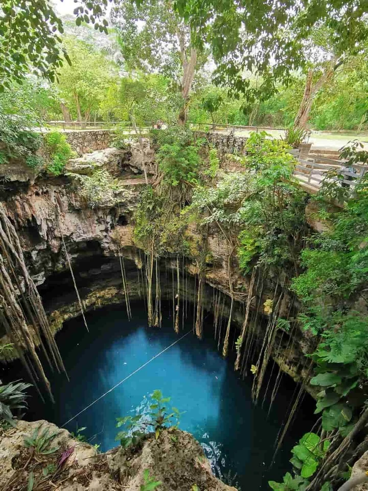 Een open cenote met helder blauw water, omringd door rotswanden en hangende wortels in het regenwoud